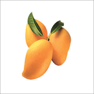 alphonso-mango.jpg