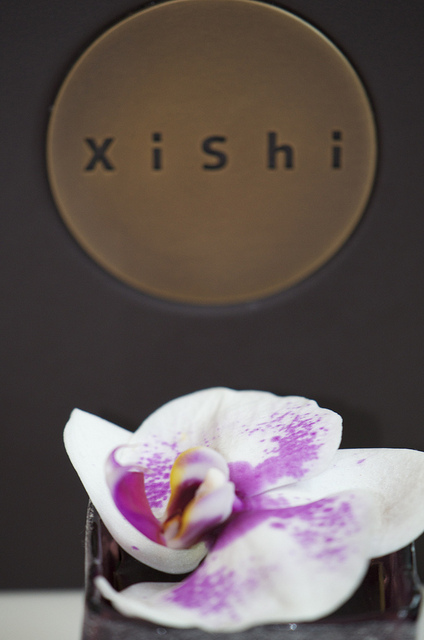 Xichi Orchid