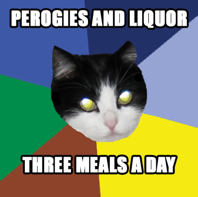 perogy cat knows when you're cheating on him with gnocchi
